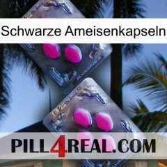 Black Ant Capsules 01